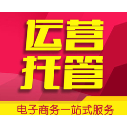 京东代运营运营-京东代运营-快牛电商(查看)